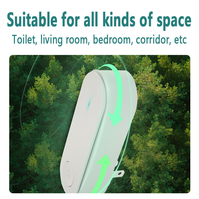 Mini Portable Anion Air Purifier