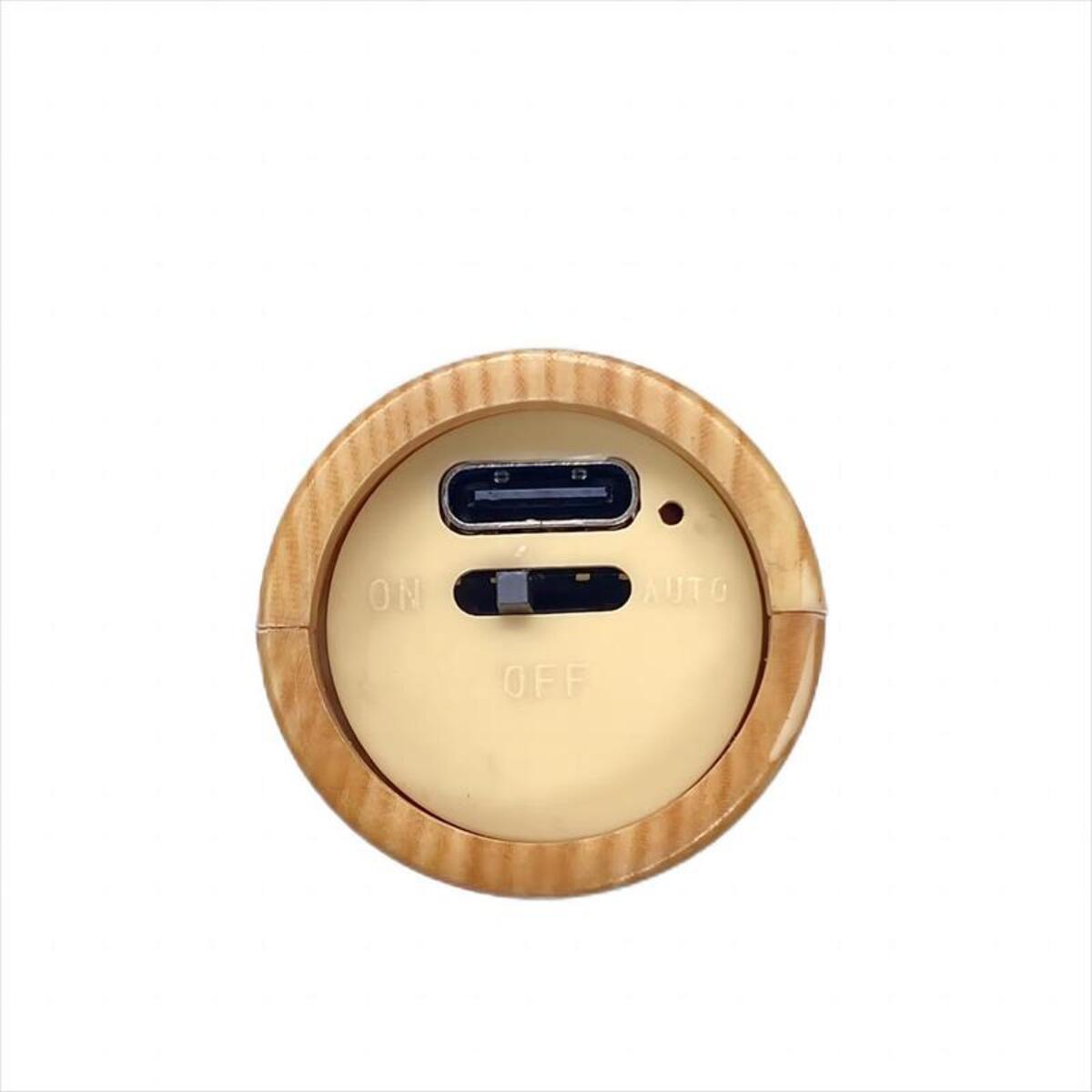 Motion Sensor Rechargeable Night Light