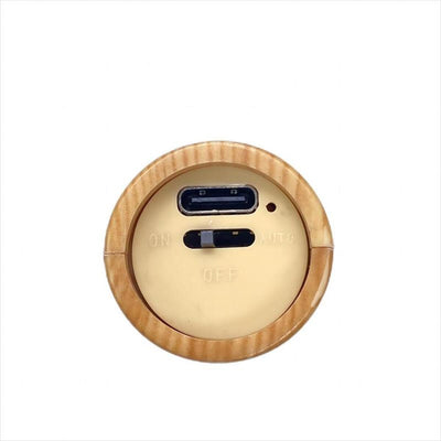 Motion Sensor Rechargeable Night Light