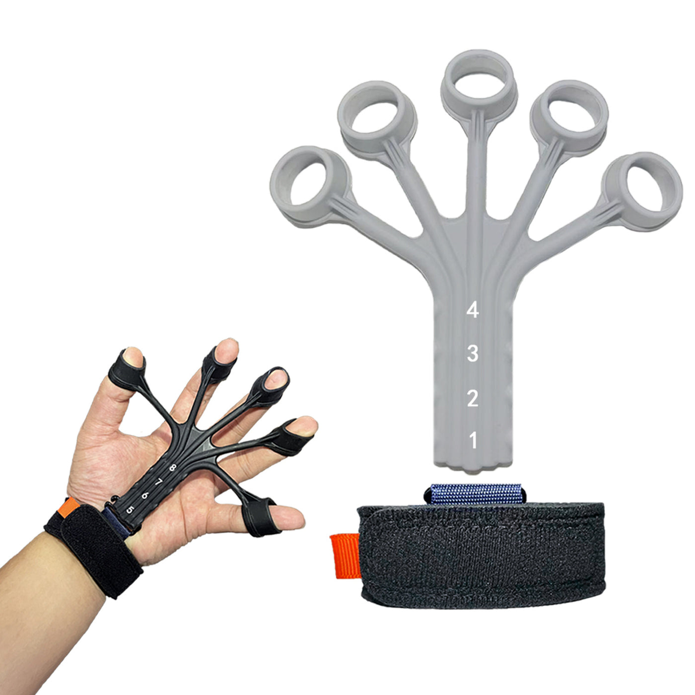Silicone Finger & Abdominal Trainer